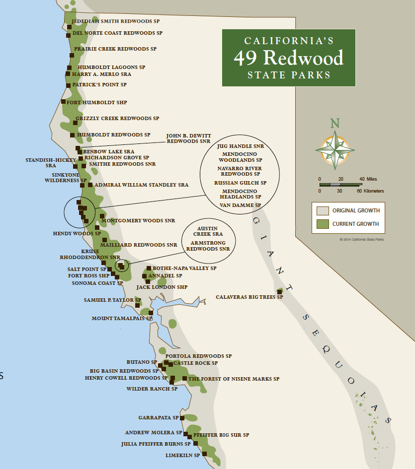 california redwoods state parks